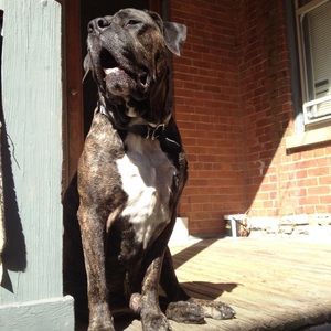 Meet your Posher, Mckenna